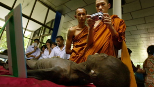 Nem halott, csak meditál – hány év alatt lesz Buddha a múmiából?