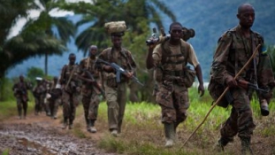 Offenzívát indítottak a hutu lázadók ellen a Kongói DK-ban