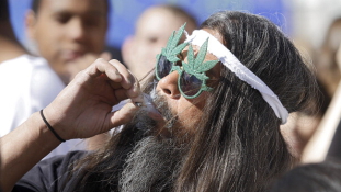 Alaszkában is legalizálták a marihuánát