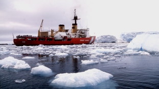 A parti őrség mentett ki egy ausztrál hajót a jég fogságából