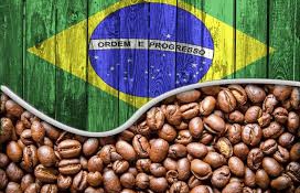 Nyugtat és fájdalmat csillapít a kávé – a brazilok szerint