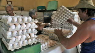 A milliós kubai tojásrablás