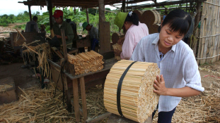 Vietnam Ázsia gazdaságának új tigrise