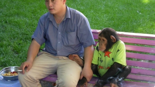 A csimpánzoknak is járnak az emberi jogok