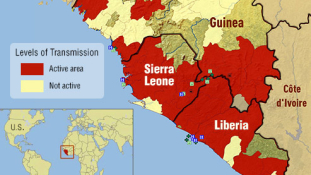 Gazdaságélénkítés az ebola után Nyugat-Afrikában