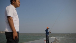 A halak örülhetnek a kínai-vietnami területi vitáknak