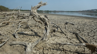 Drága fiú – sokba lesz a világnak az El Niño