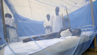 Malária ellen szedjen Viagrát