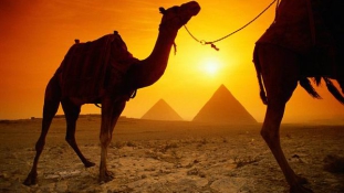Iszonyatosan meleg van Egyiptomban
