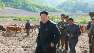 Kim Dzsongun ezúttal teheneket és halakat tekintett meg