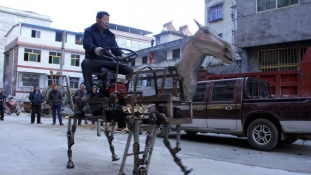 Itt a 15 legdurvább házi robot és jármű Kínából
