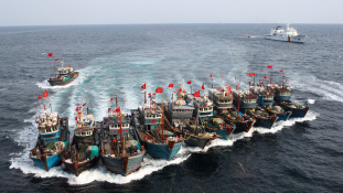 Kína szépen lassan lehalássza Nyugat-Afrika partjait