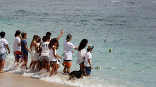 Gyerekeket harapott meg egy cápa a strandon