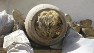 Nyolcmillió mumifikált kutya egy tömegsírban