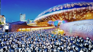 Pandainvázió Dél-Koreában