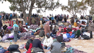 Menjünk Nigerbe, nézzük meg magunknak a migránsokat!