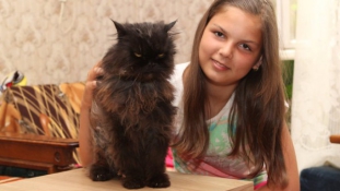 World’s oldest cat is Hungarian