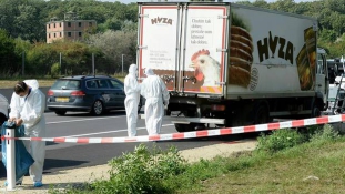 Irakiak is voltak a hűtőkocsiban megfulladt menekültek között