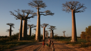 Egy szelet Madagaszkár az Inforádióban