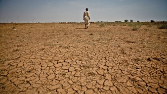 UNICEF: Afrikában 11 millió gyereket sújt éhezéssel, betegséggel az El Nino