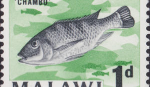 Ez Malawi nemzeti hala