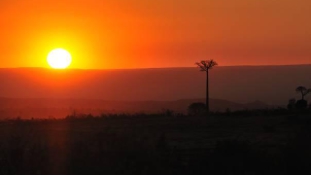 A csodálatos Madagaszkár, égő fák füstjében – útinapló, fotókkal