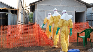 Ünnep Guineában: ebolamentes az ország, ahonnét a járvány elindult