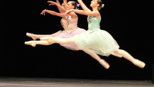 Közgazdaságot tanít a balett-táncos