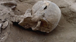 Vége a “boldog ősidők” mítoszának – őseink brutális gyilkosok voltak