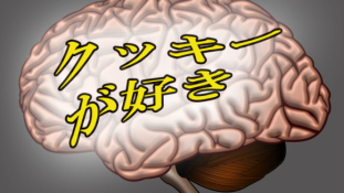 Japán nyelvvel a gondolatolvasás útján