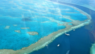 Egyre nagyobb veszélyben a Nagy-korallzátony