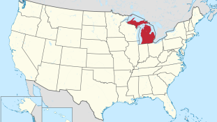 Ámokfutó szedi áldozatatit Michigan-ben