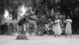 Egyedülálló afrikai táncshow lesz a Francia Intézetben