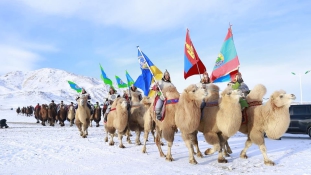 Rekord: 1100 teve versenyzett egy helyen