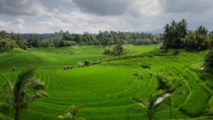 A Nap Képe – Bali