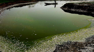 Egyre mérgezettebbek a vizek Kínában