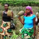 Ruanda vízummentességet vezet be minden afrikai számára
