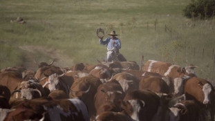 Így él egy izraeli cowboy a szíriai határon