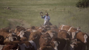 Így él egy izraeli cowboy a szíriai határon