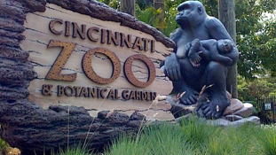 Gyors nyugtatóval kísérleteznek, hogy ne kelljen lelőni a látogatók miatt az állatkertek lakóit