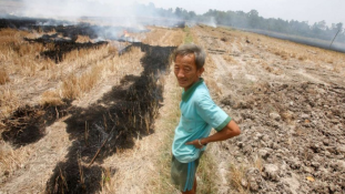 Veszélyben az emberek, a kávé és a rizs – Az El Niño most Vietnamban tombol