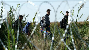 Összehangolják szabályaikat a balkáni migránsútvonalon fekvő országok