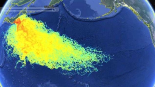 Fukusima már a világ óceánjainak harmadát beszennyezte