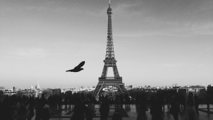 A francia diákok csaknem háromnegyede külföldön szeretne dolgozni
