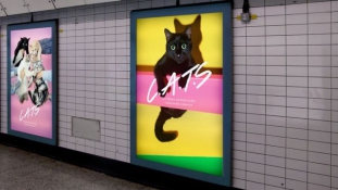 Reklám helyett macskás képek a metróban