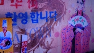 Dél-Korea egy magyar művész szemével (képek)