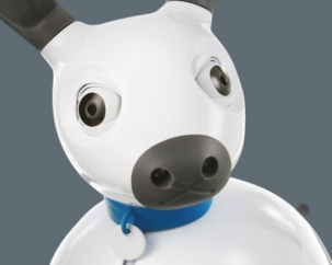 Látássérült embereken segít egy kínai robot