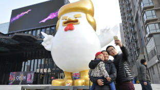 A Trump-kakas az év végi piac sztárja Kínában