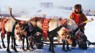 100 éve volt az első számi kongresszus – az utolsó nomád nép Európában