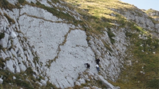 Hatalmas dinoszaurusz lábnyomot fedeztek fel Abruzzóban